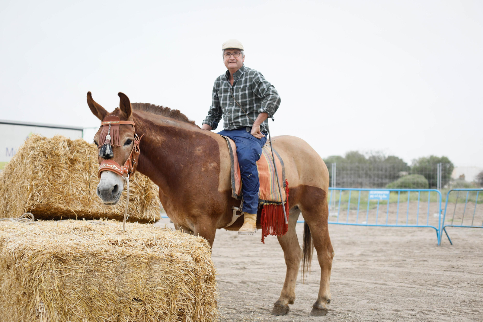 Galería de la Feria  de ganado en Tarambana
