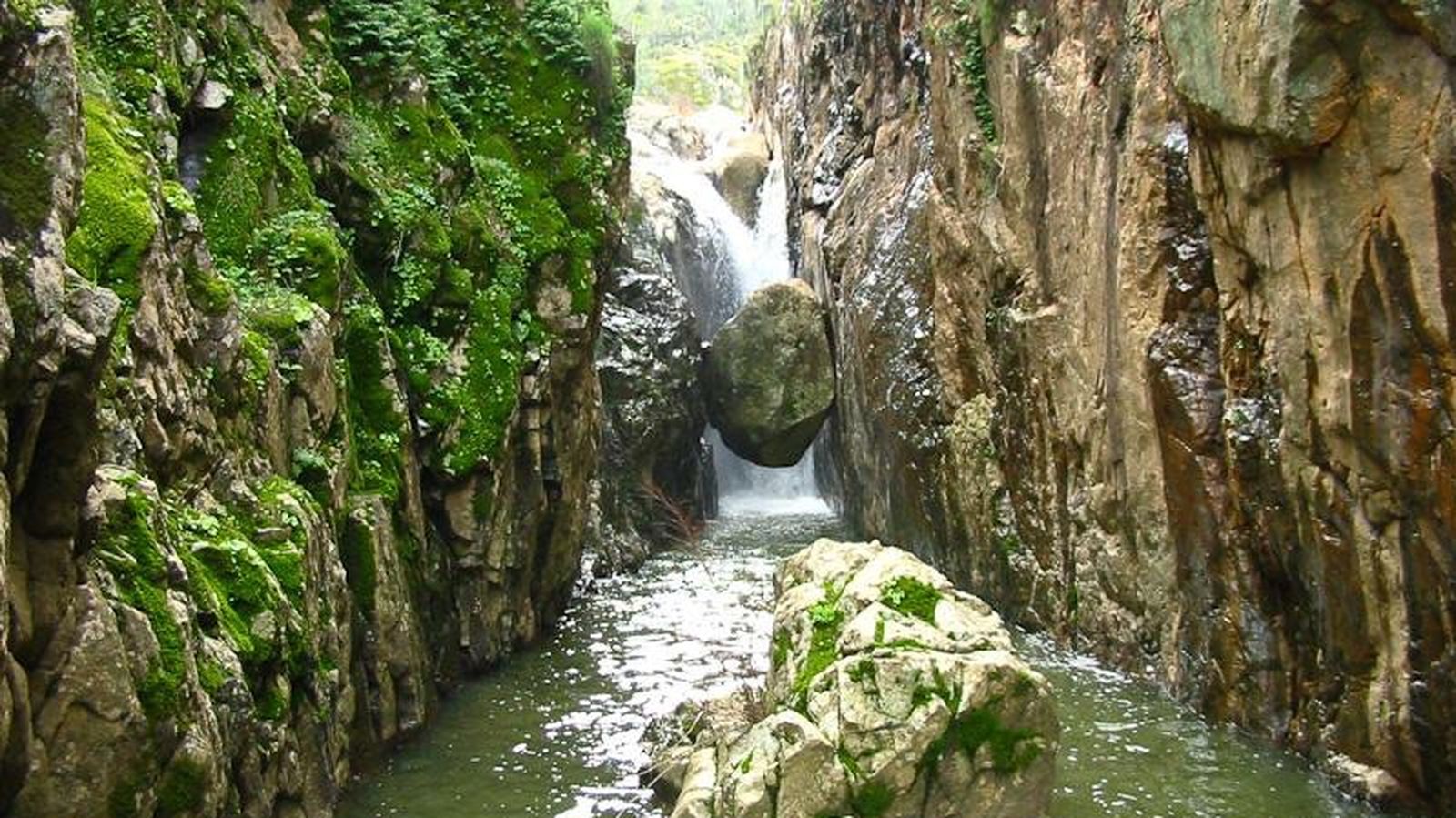 Inmediaciones de Almadén de la Plata