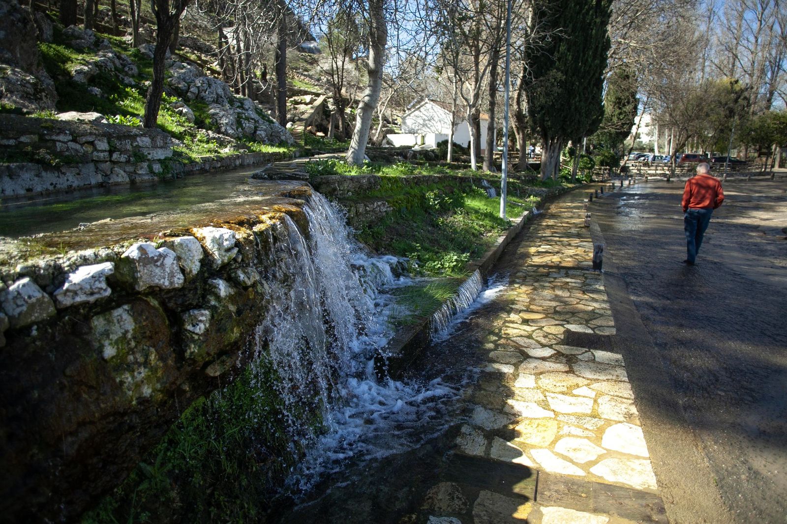 Las lluvias transforman el paisaje en el interior de Málaga, en imágenes
