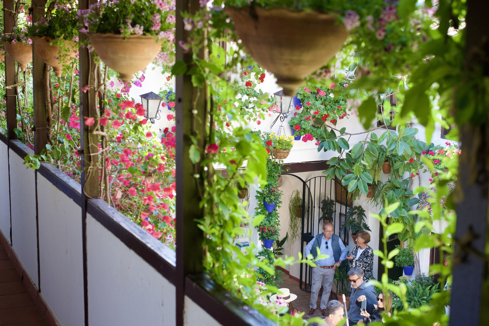 Los Patios de la Ruta del Alcázar Viejo, en imágenes