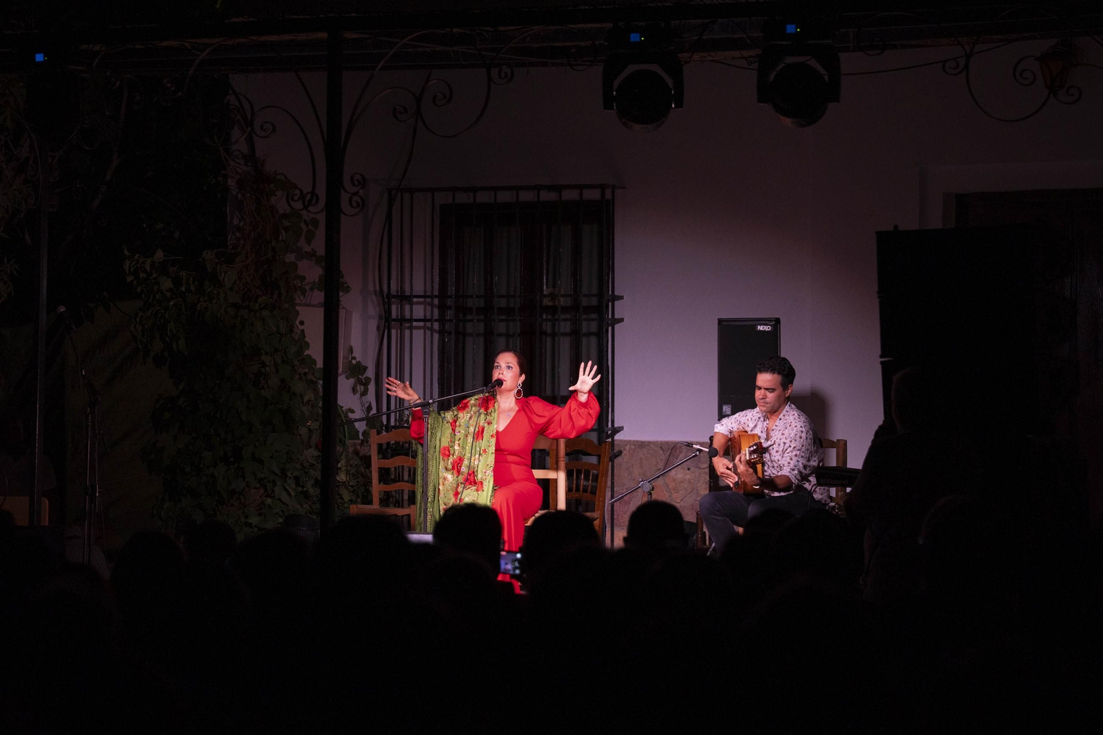 Las mejores imágenes del Festival de Flamenco en Fondón