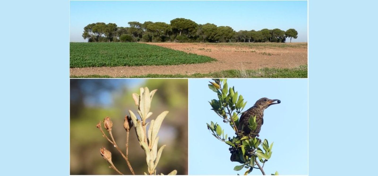 Algunas imágenes aportadas por el estudio.