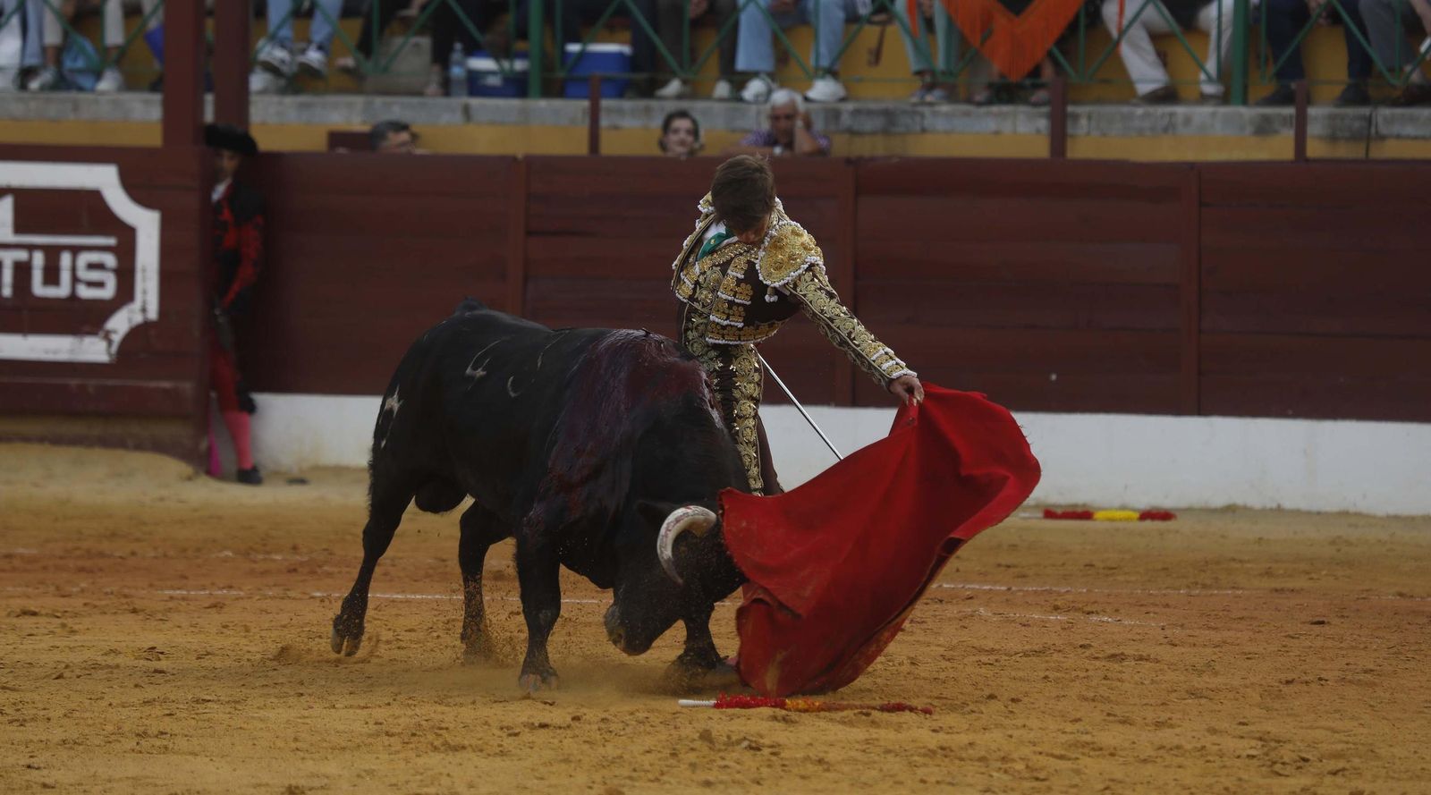 Fotos del triunfo de Manuel Roman y Javier Zulueta con la buena novillada de Núñez de Tarifa que abrió la Feria de La Línea