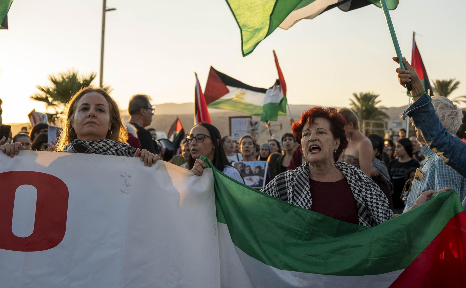 Manifestación convocada por la Plataforma Almería por Palestina