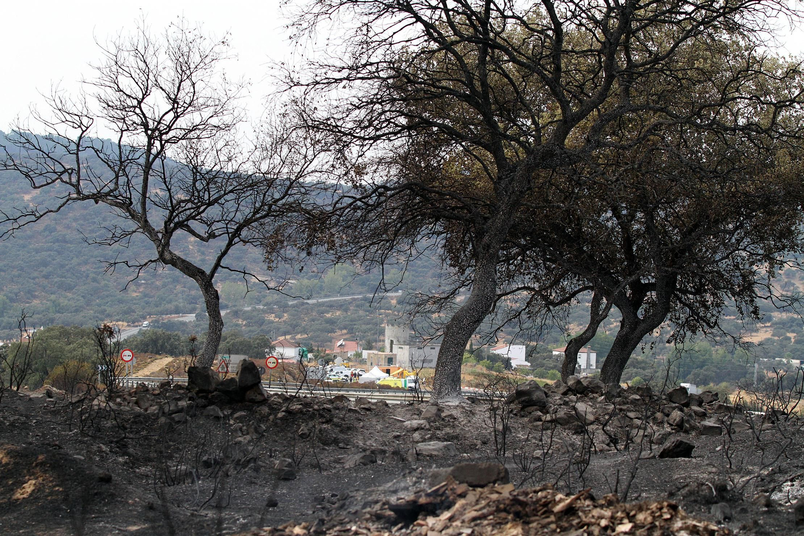 El fuego arrasó miles de hectáreas.
