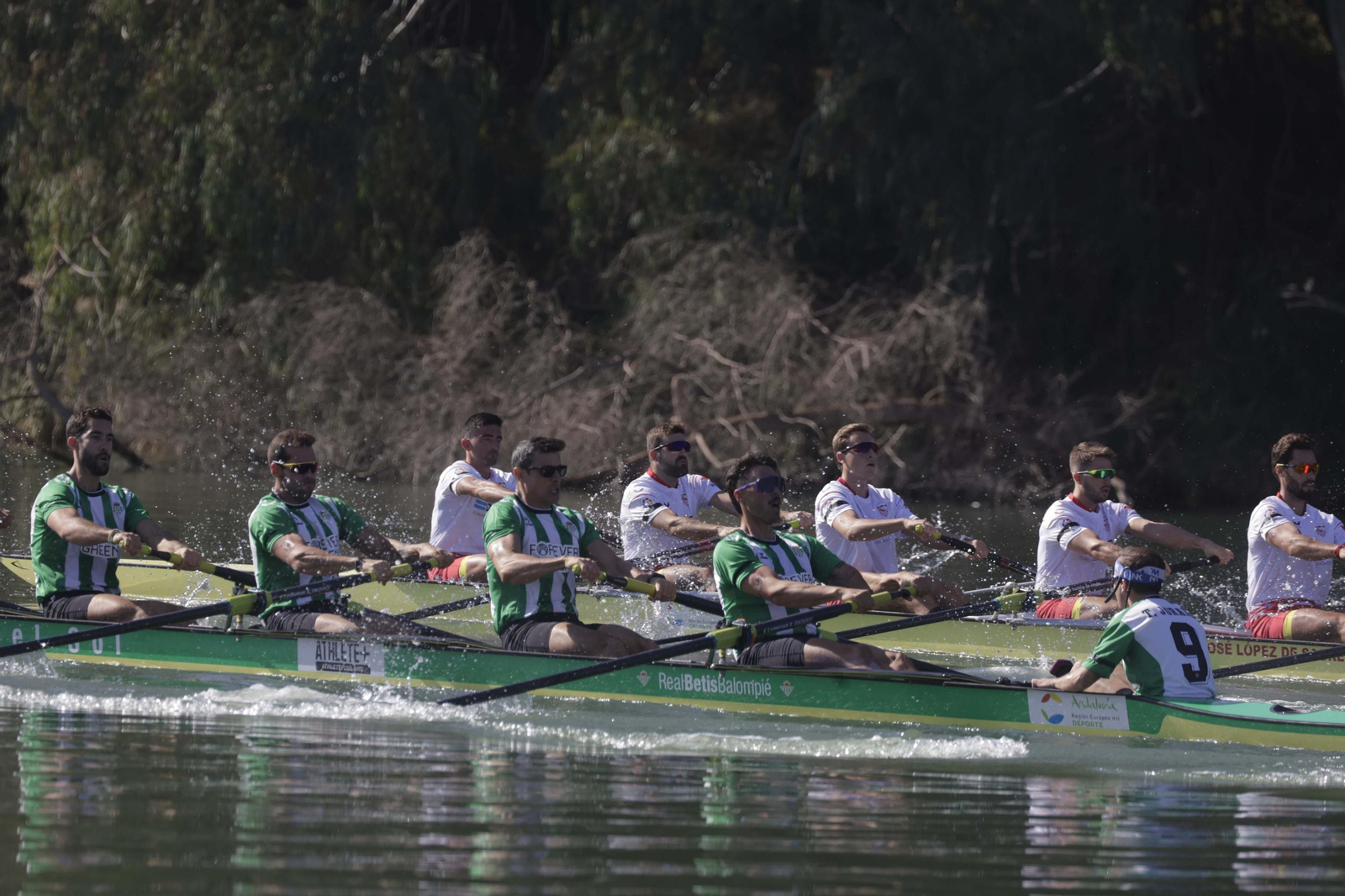 Las mejores imágenes de la Regata Sevilla-Betis