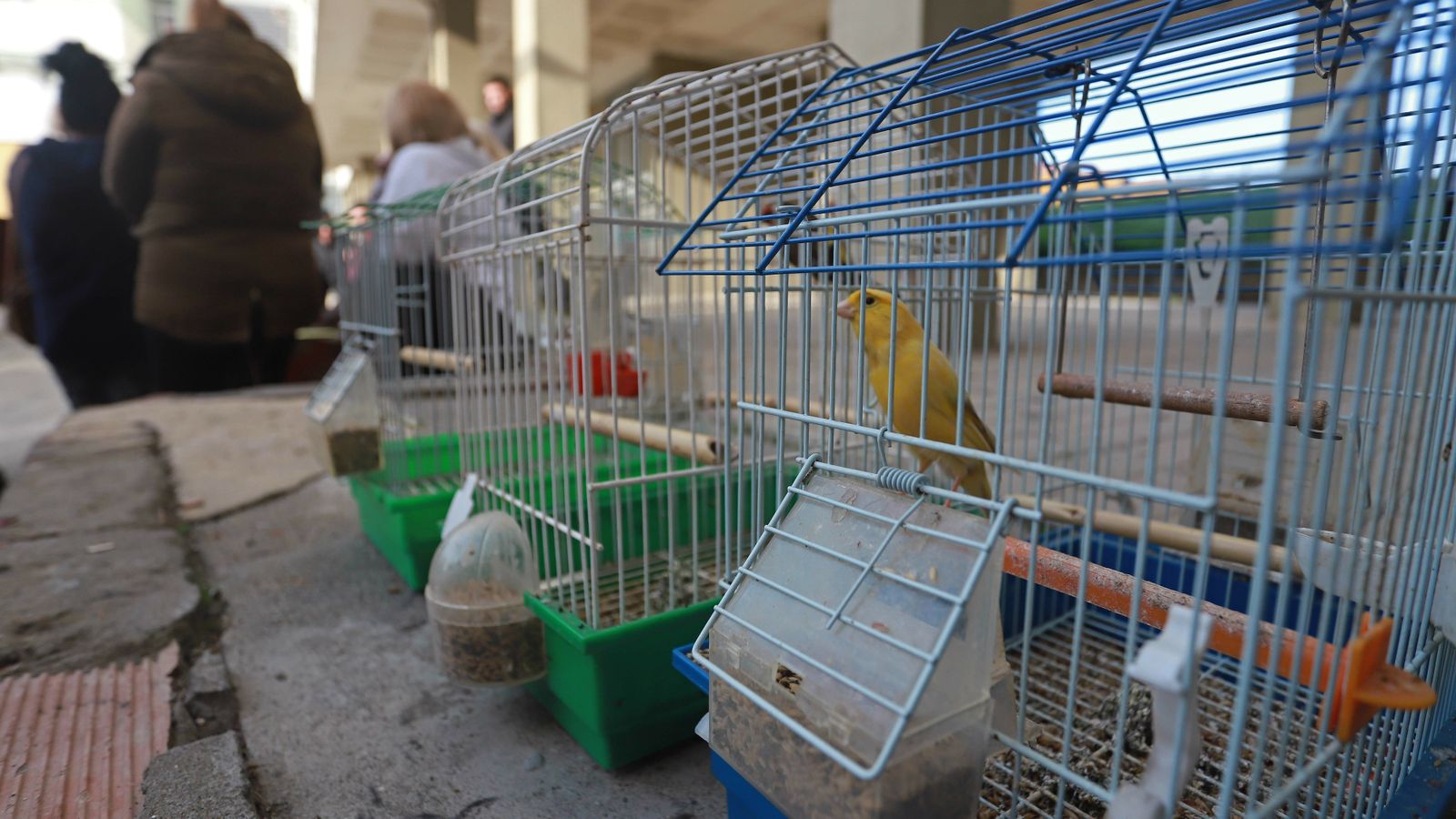 Desahucio en El Saladillo