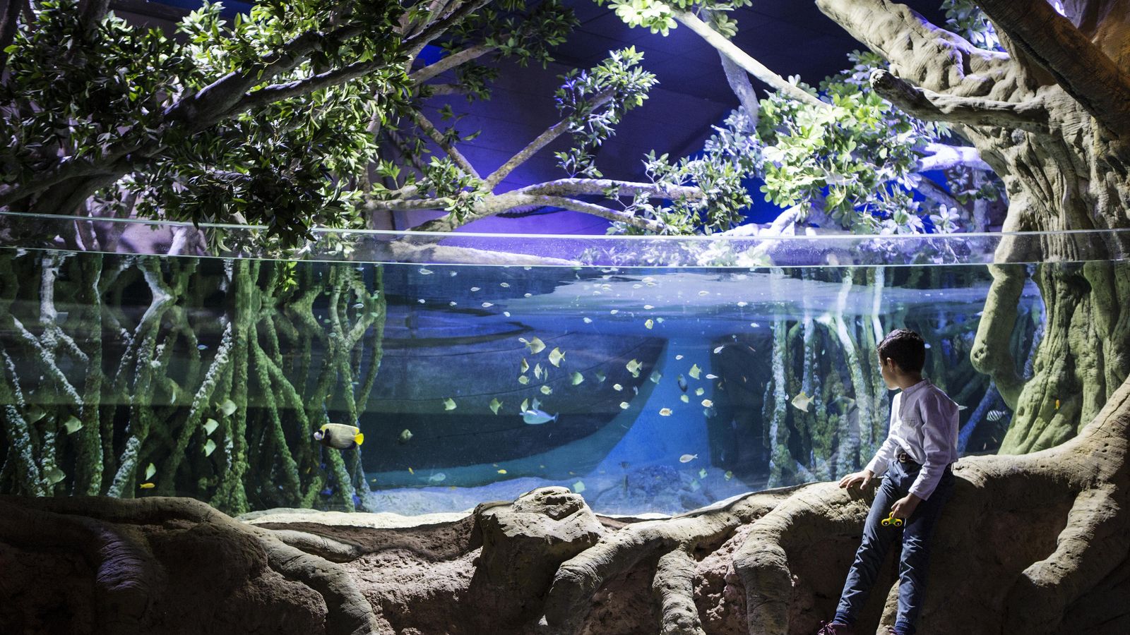 Sala que recrea un manglar en el Acuario de Sevilla.