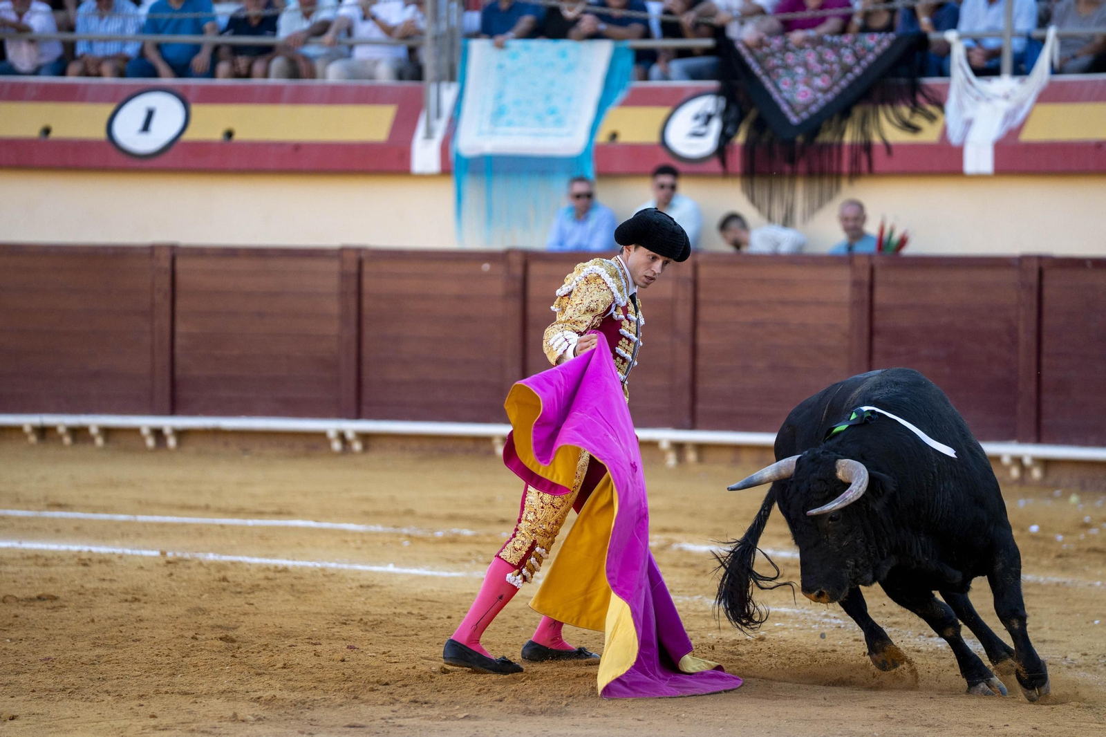 Las imágenes de los toros en Vera