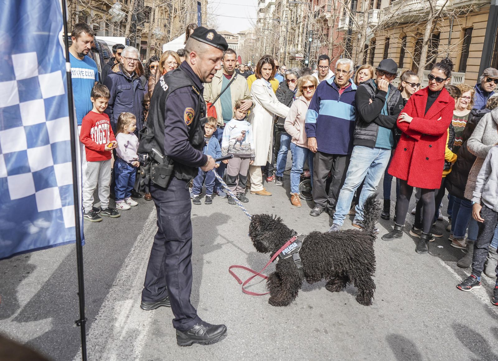 El Día Sin Coche llena de ciudadanos la Gran Vía de Granada