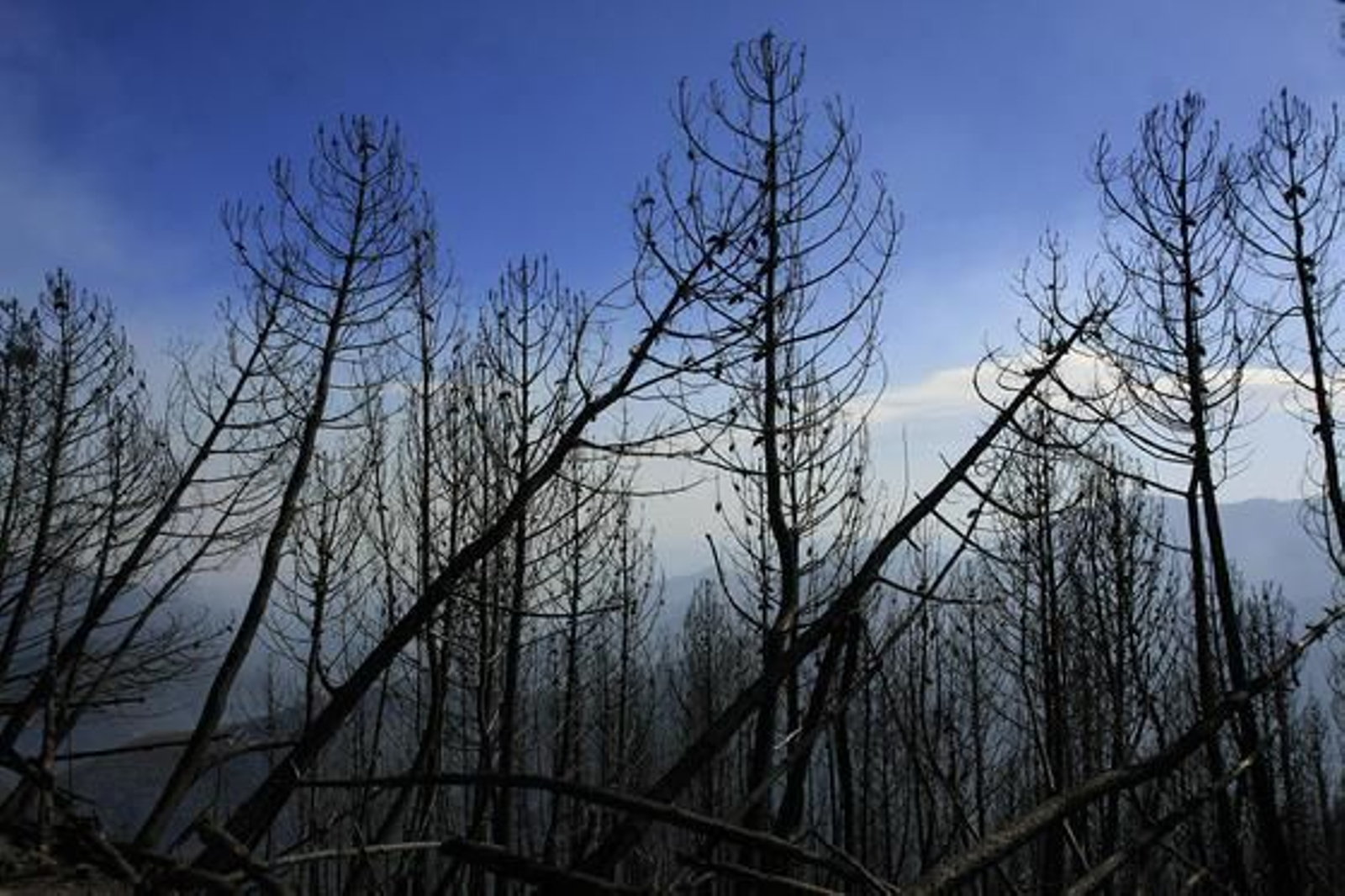 Alguna de las zonas calcinadas que podían verse ayer

Foto: Javier Flores