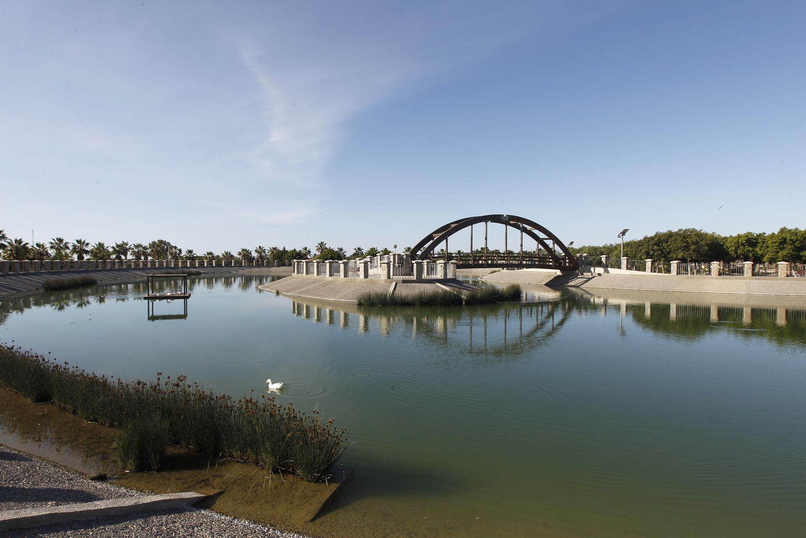 Fotogalería domingo de deporte en coronavirus. COVID-19. Almería