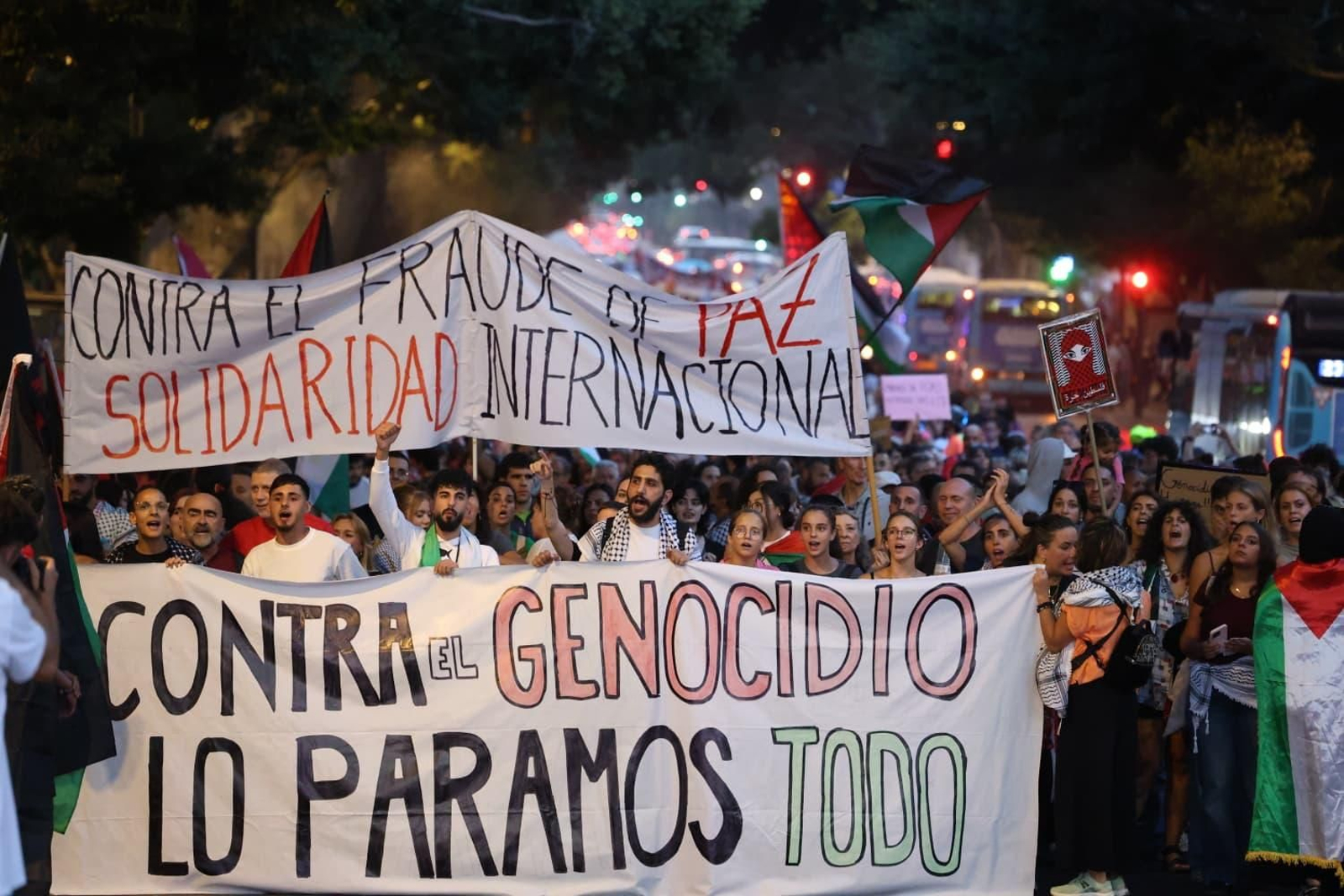 La manifestación por Palestina en Málaga, en imágenes