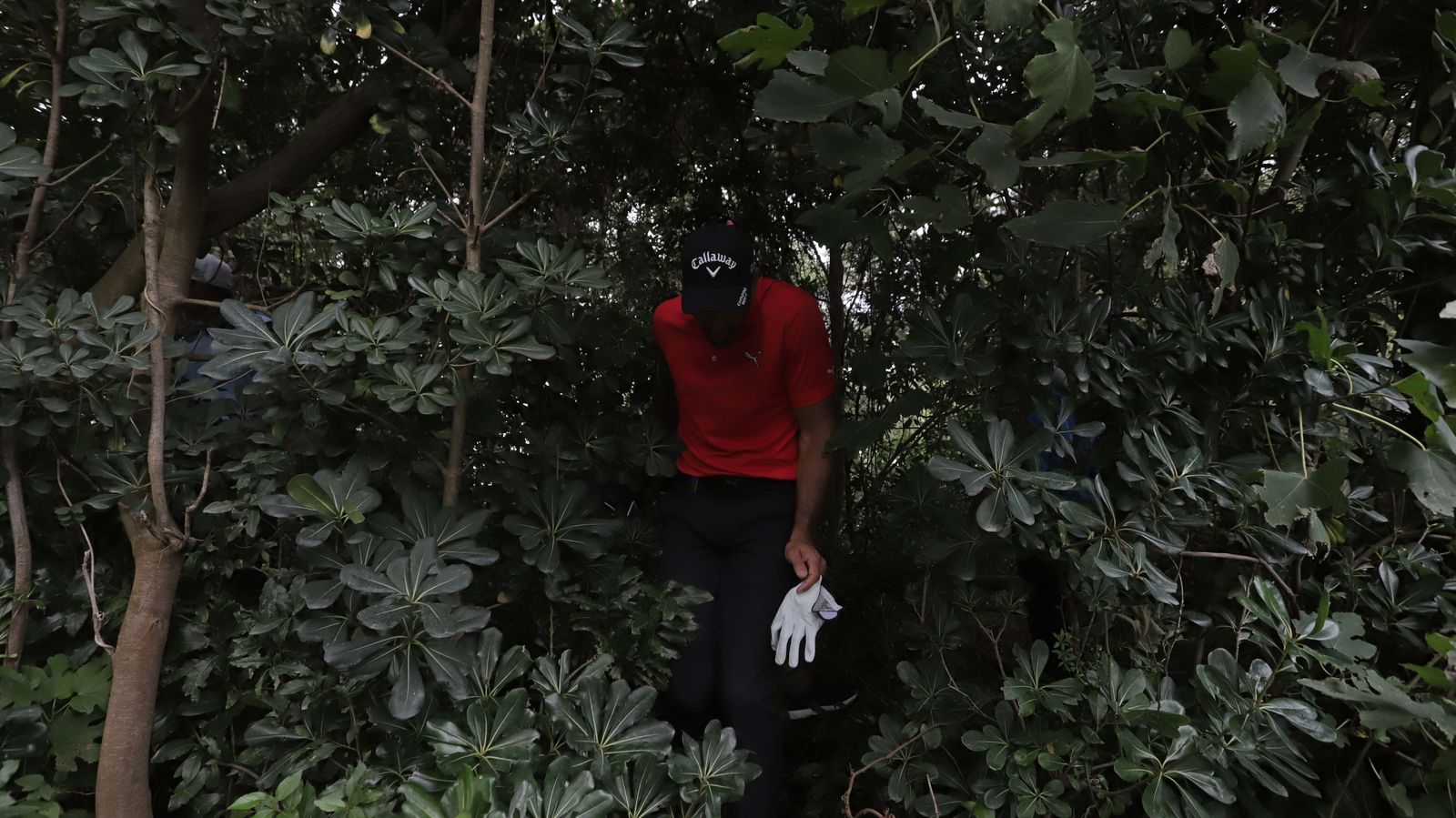 II Jornada del Andalucía Masters en imágenes