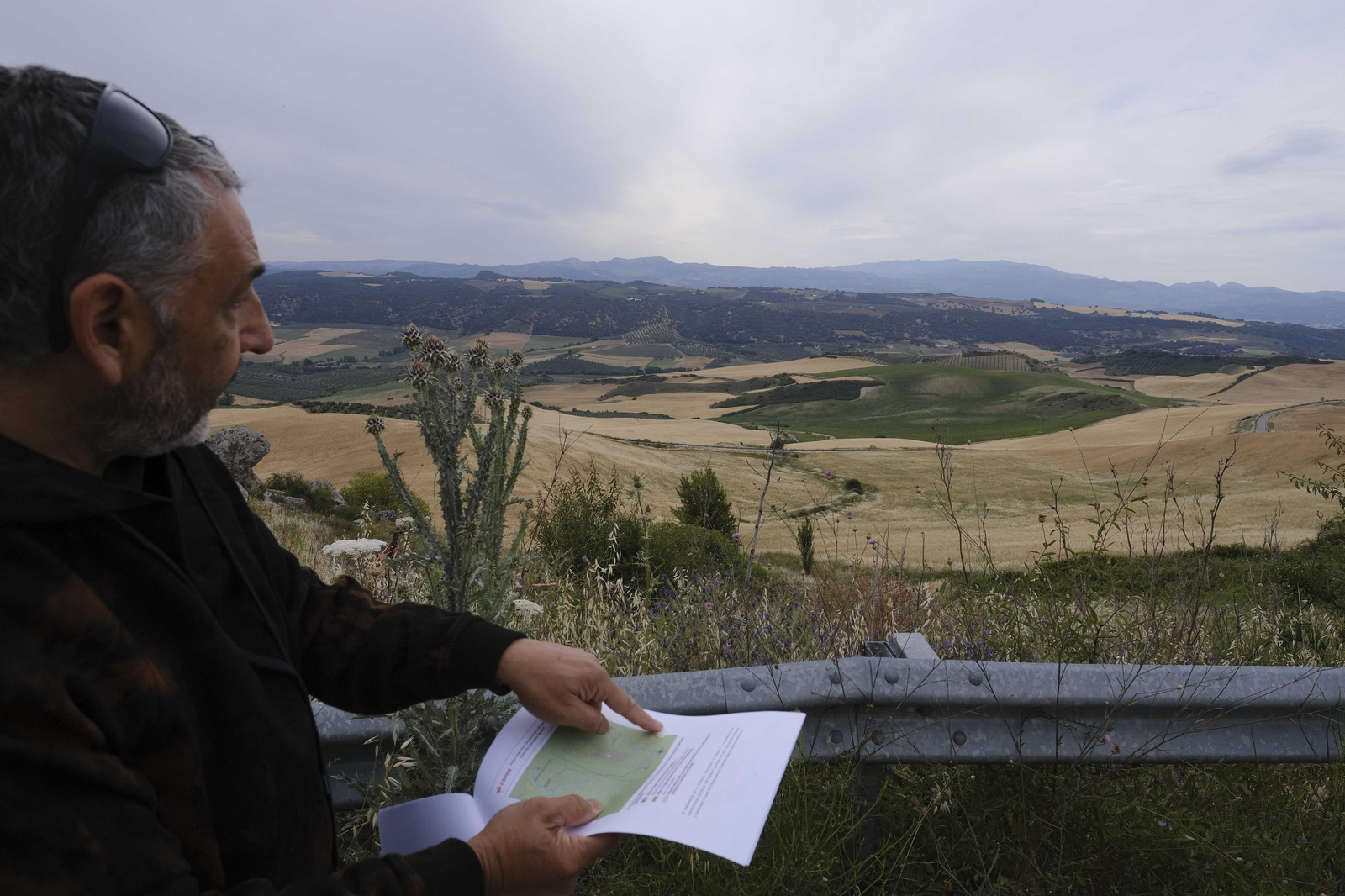 Zona en la que se prevé ubicar una de las plantas.