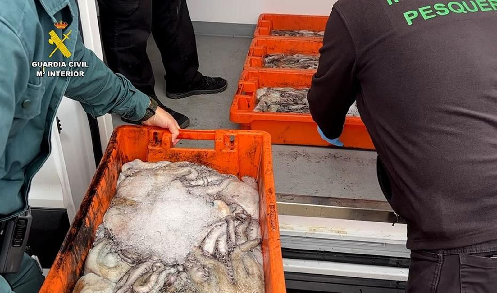 Parte del pescado incautado durante la operación.