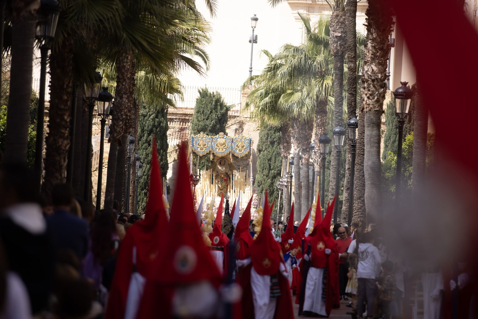 Imágenes del Domingo de Ramos: Hermandad de la Borriquita