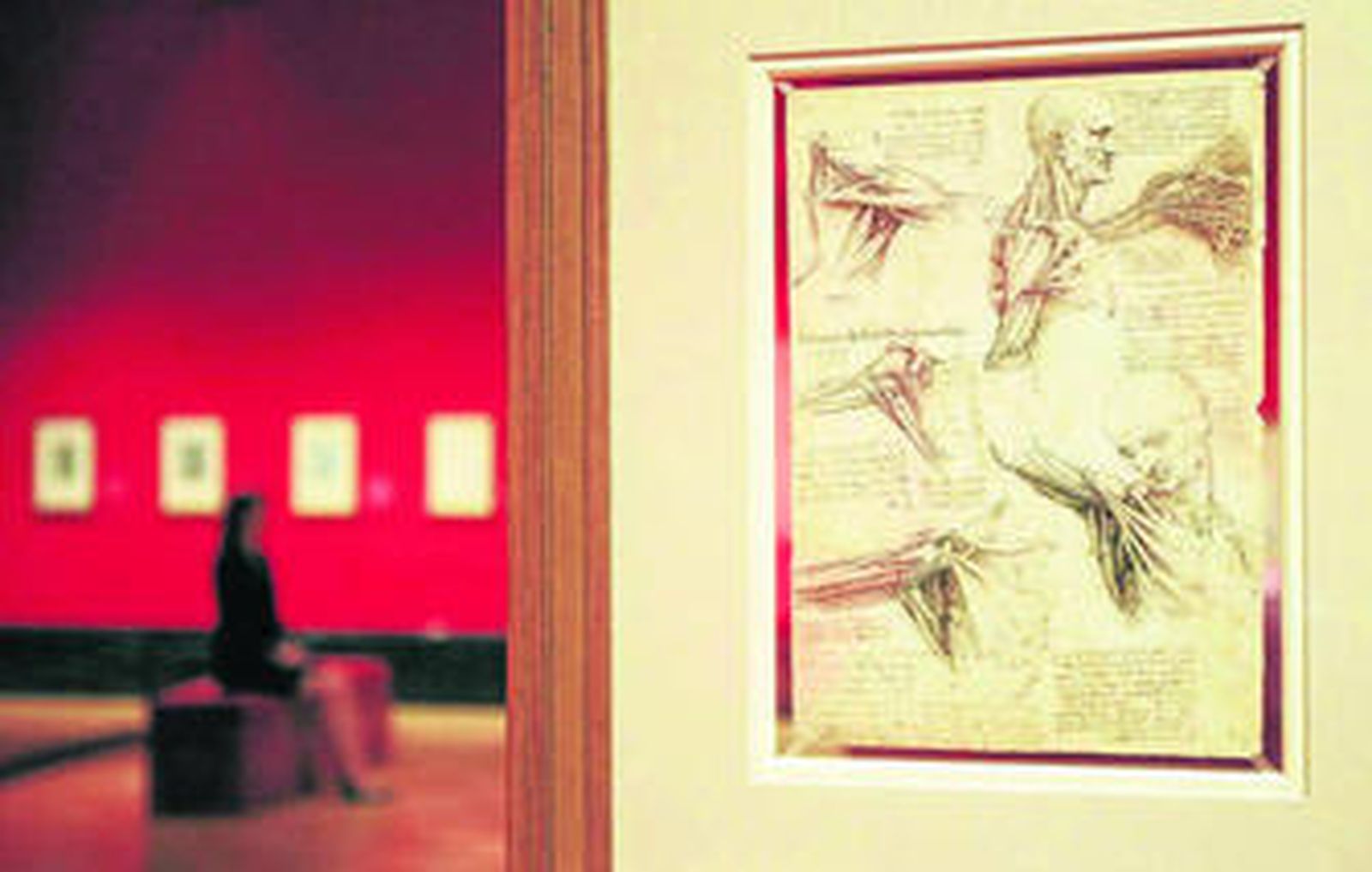 Algunos de los dibujos anatómicos de Leonardo da Vinci.