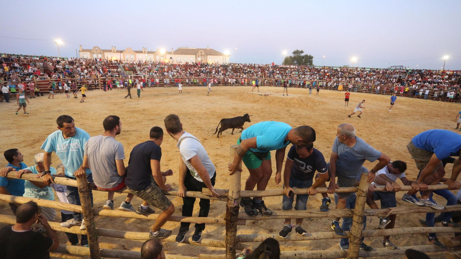 Capeas de Trigueros en el año 2017