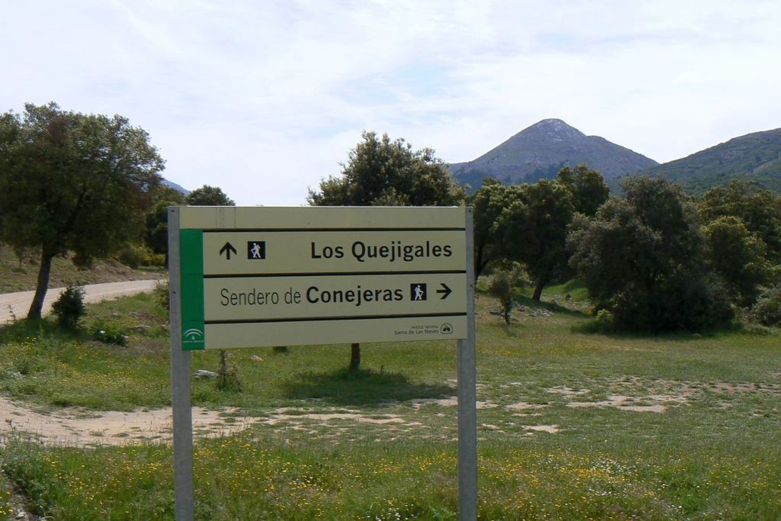 Un sendero de Sierra de las Nieves.