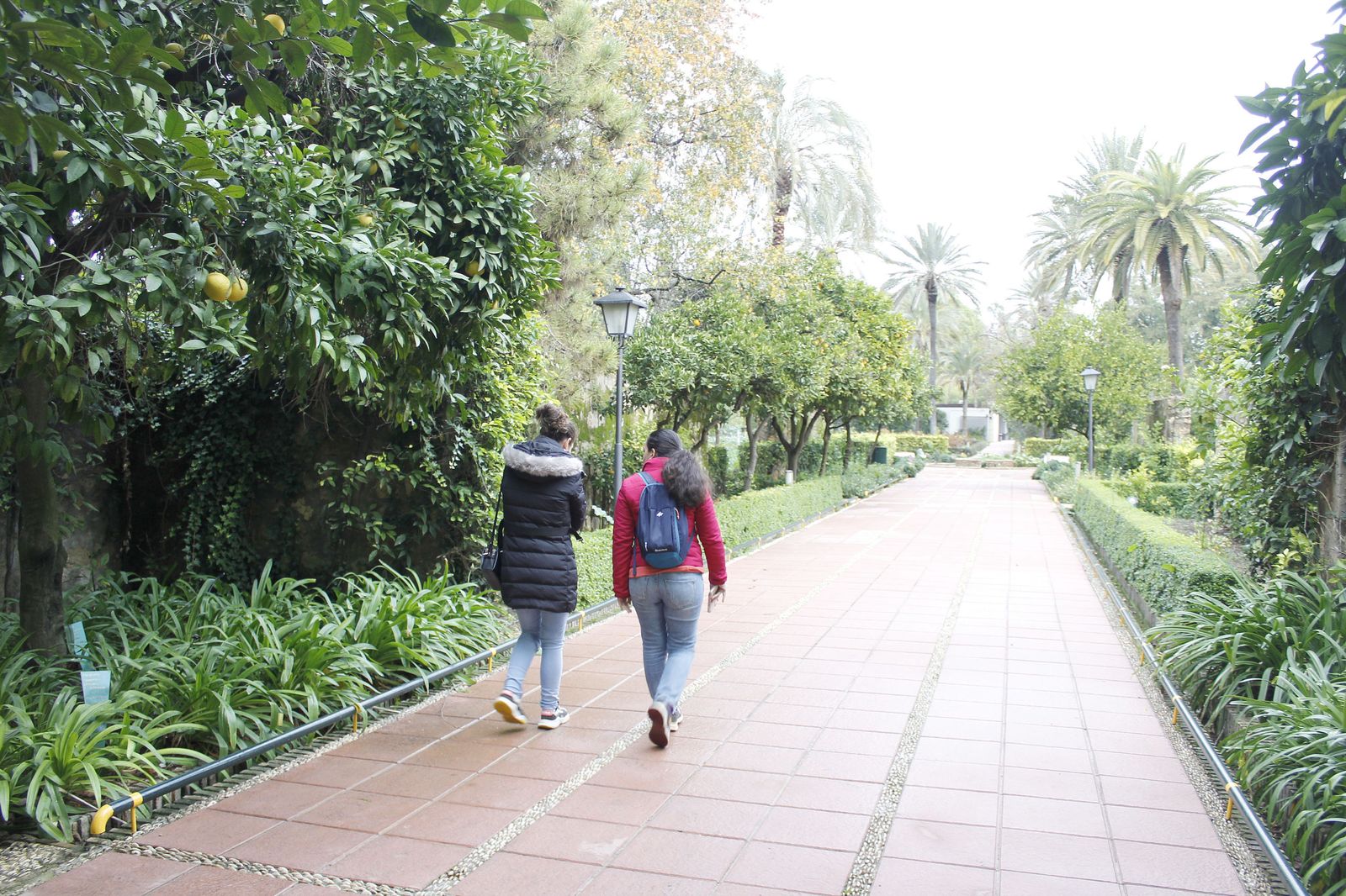 Dos personas en el Real Jardín Botánico de Córdoba.