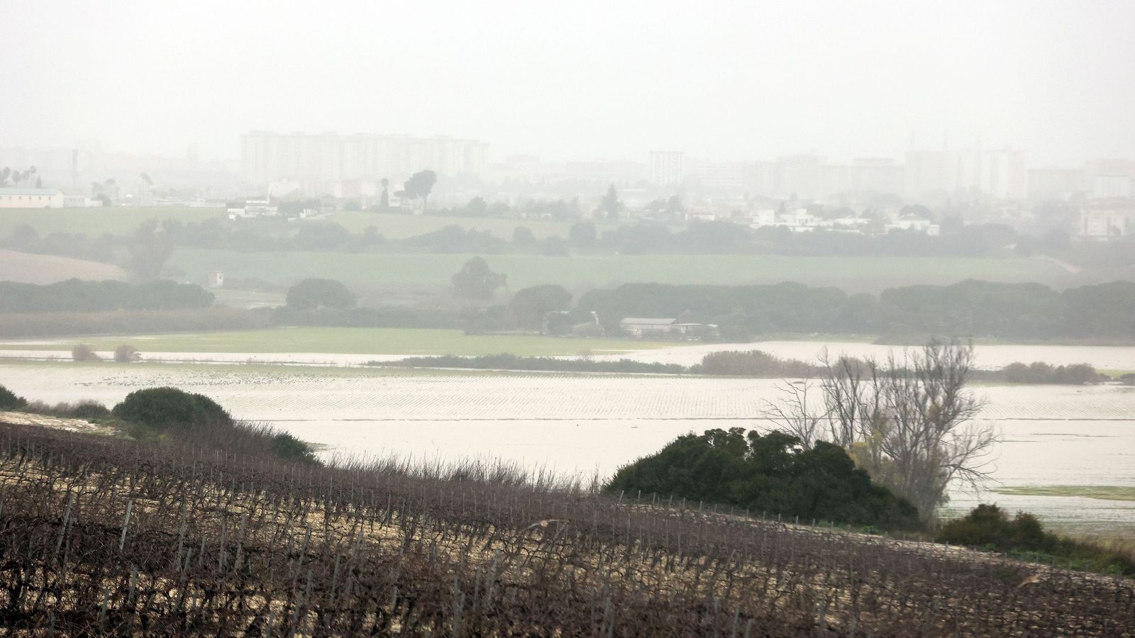 Imágenes del paseo rural por Jerez en el estreno de la borrasca Marta