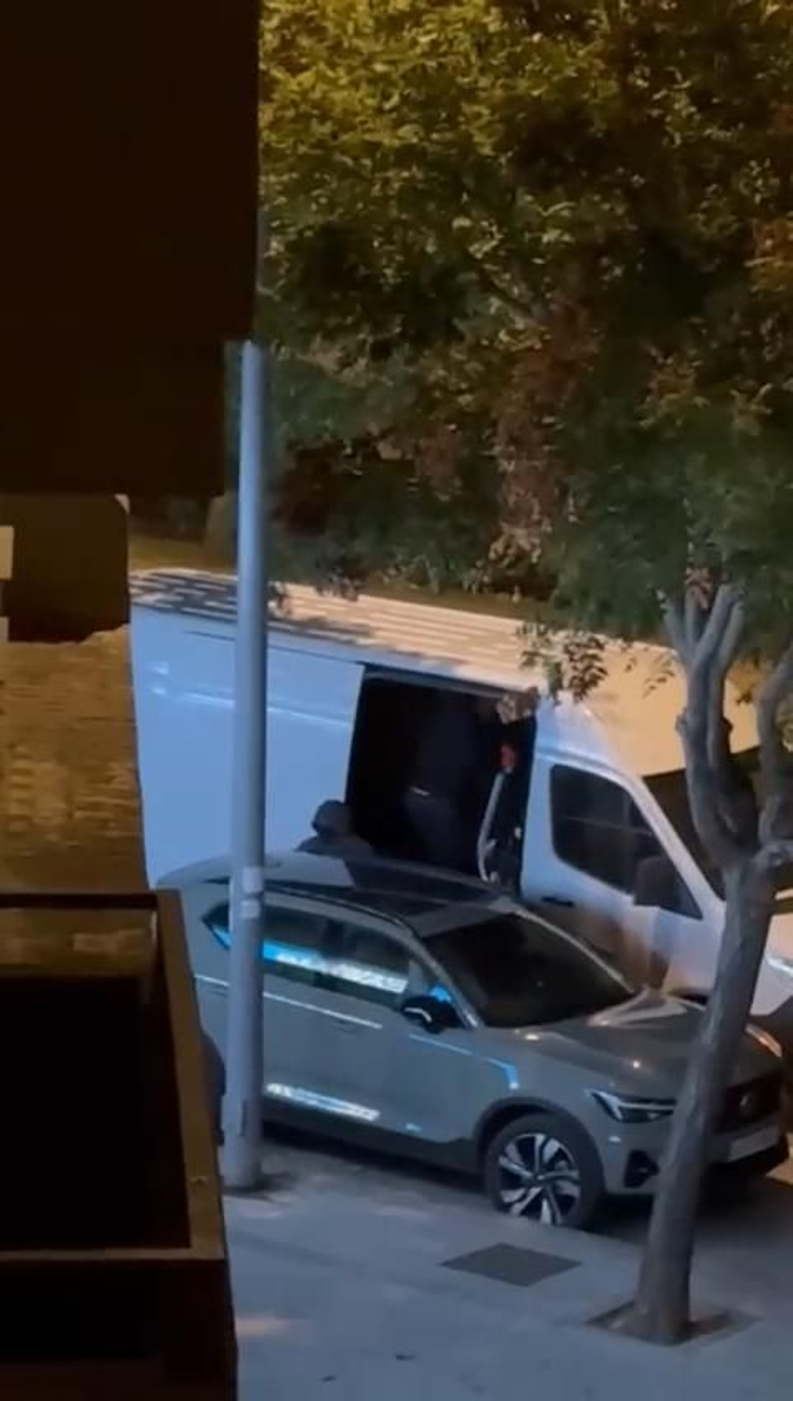 Robo en Ciclo Cabello, ubicado en avenida Europa