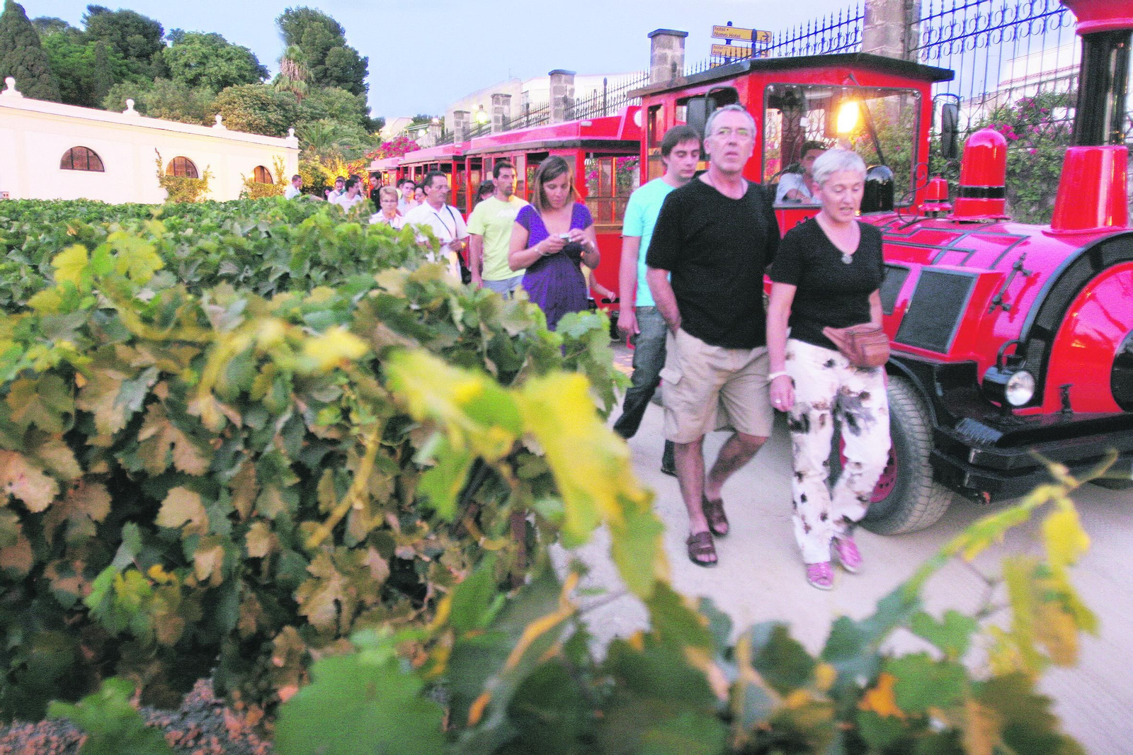 Turistas en una bodega del Marco, que se prepara ya para retomar la actividad enoturística.