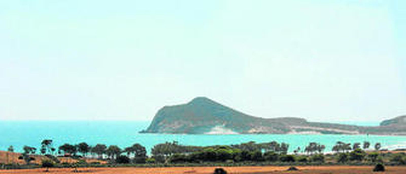 Cabo de Gata, 25 años de dunas, sal y un mar de posidonia oceánica