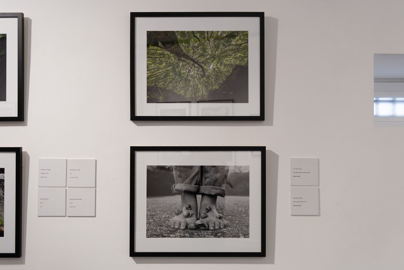 Exposición La Tierra, corazón de la vida, en imágenes