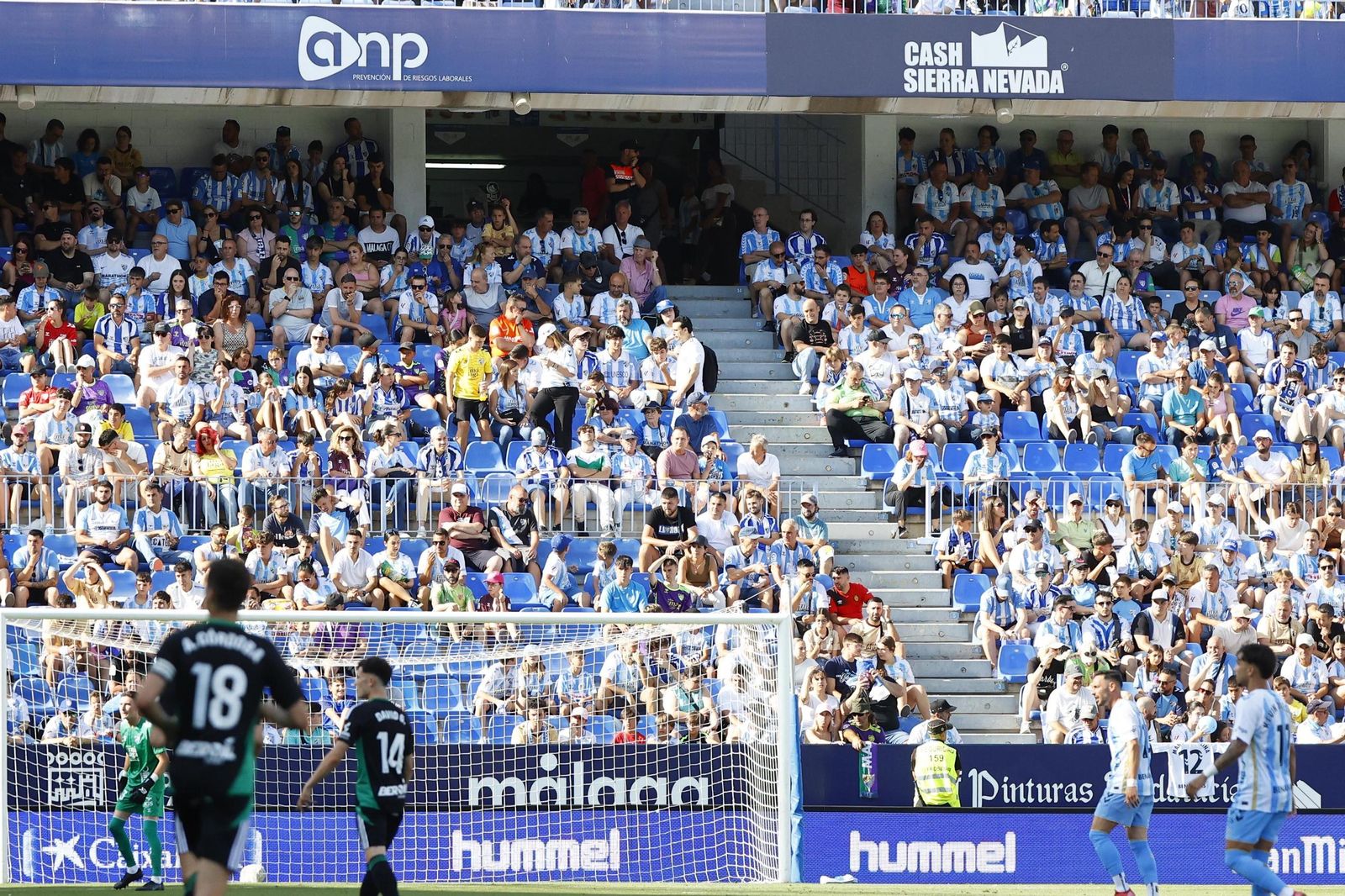 Búscate en las gradas de La Rosaleda en el Málaga CF-Burgos