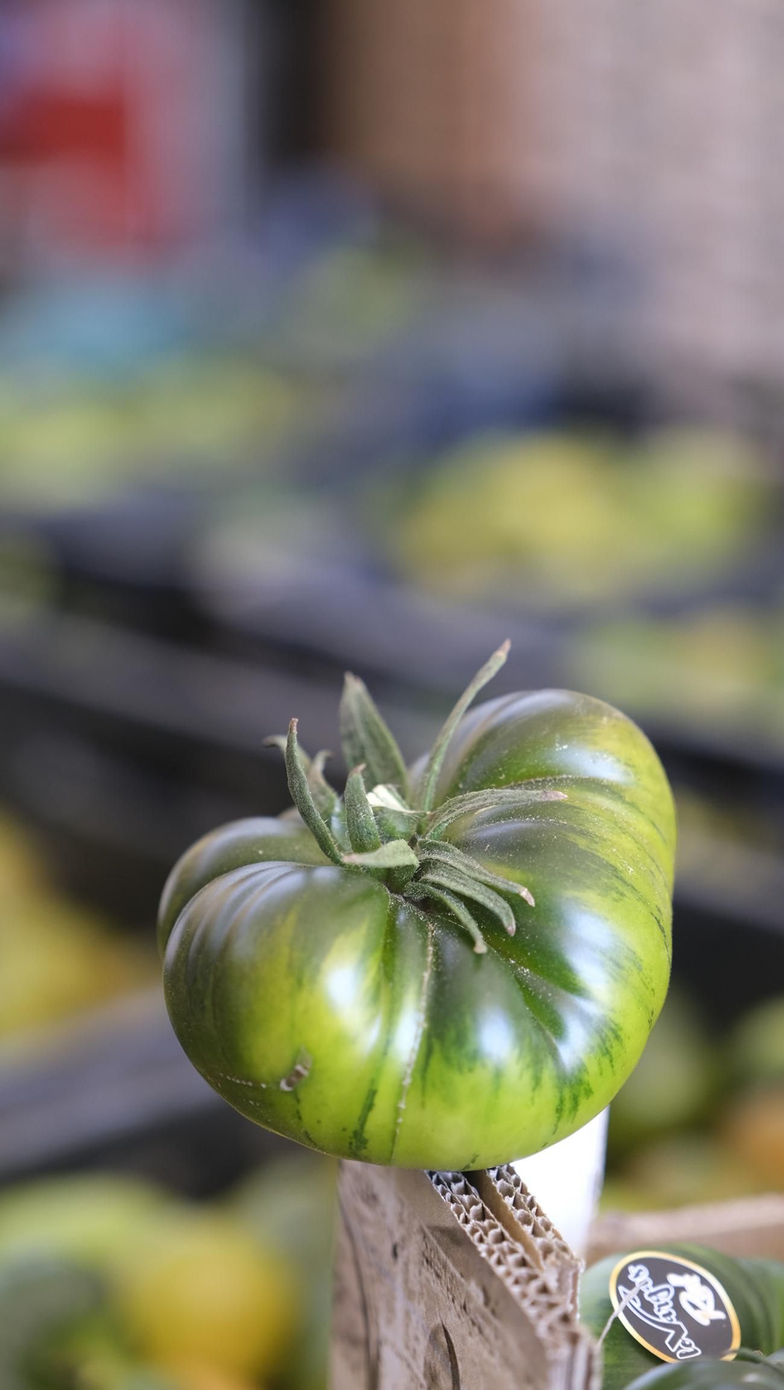 El auténtico Raf LoVargas