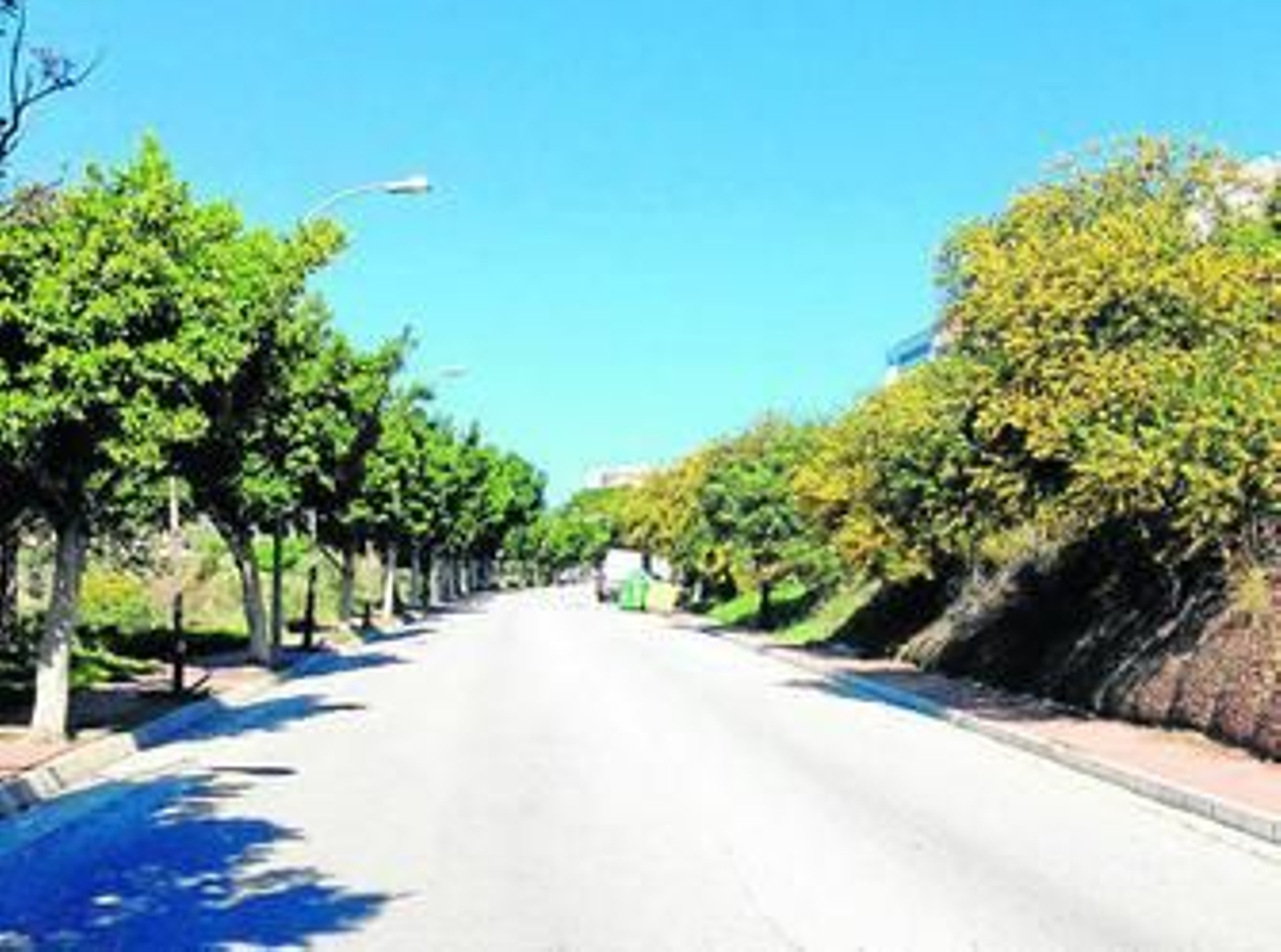 Carretera de Macharaviaya.