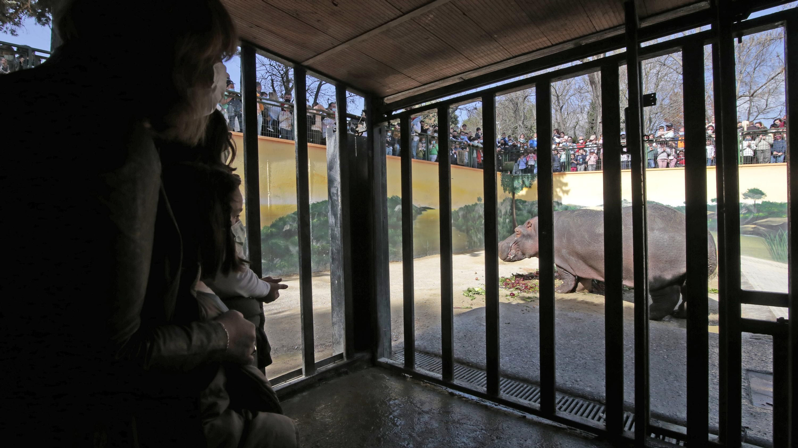 69 aniversario del Zoo de Jerez
