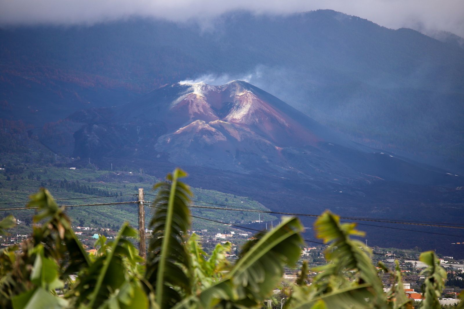 Seis de los diez proyectos se realizarán en la isla de La Palma, cuyo volcán entró en erupción en 2021.