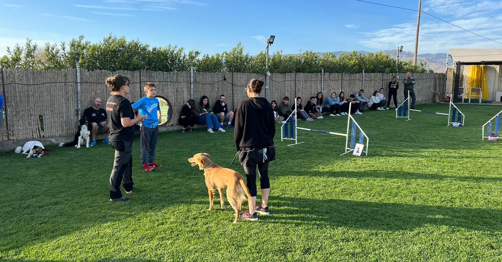Curso de la Cámara de adiestrador canino.