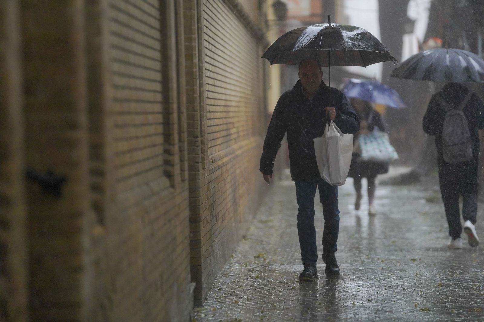 La intensa lluvia en Sevilla al paso de la Borrasca Leonardo en fotos