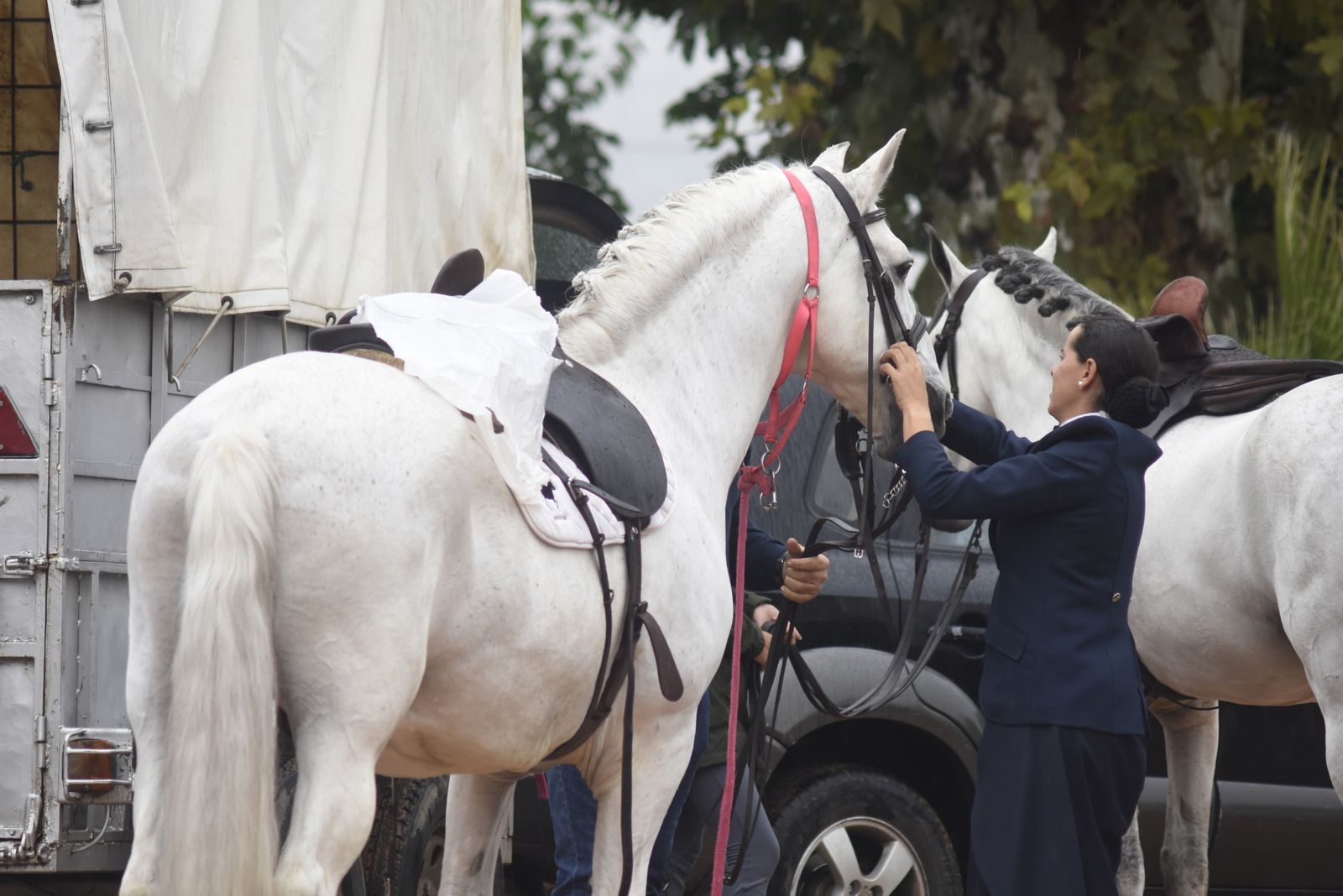 Las imágenes de la Magna Marcha Ecuestre