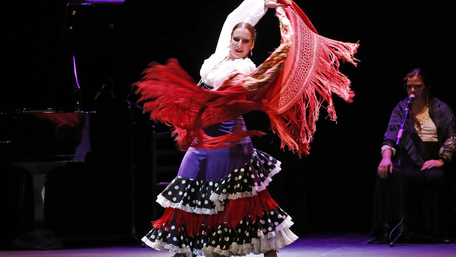 La bailaora Luisa Palicio.