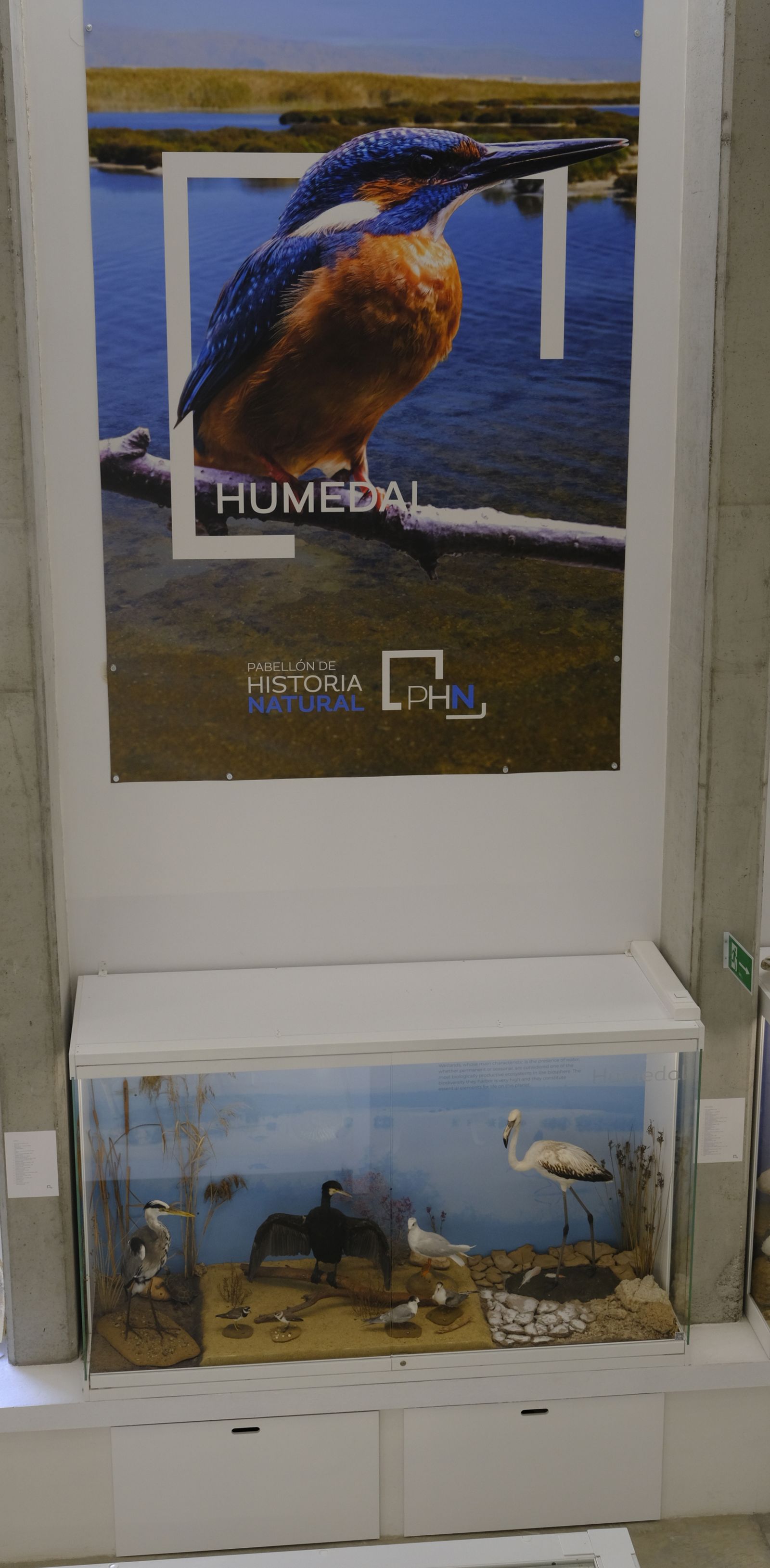 Las mejores imágenes del Pabellón de Historia Natural de la UAL