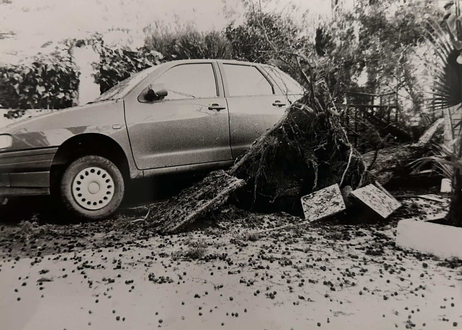 Efectos del temporal e inundaciones de enero de 1996 en Huelva.