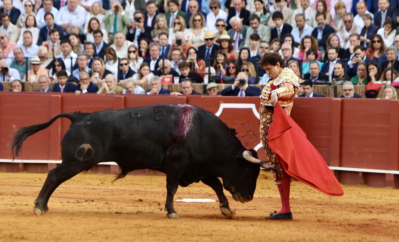 Las mejores imágenes de la corrida de toros de Juan Ortega, Roca Rey y Pablo Aguado
