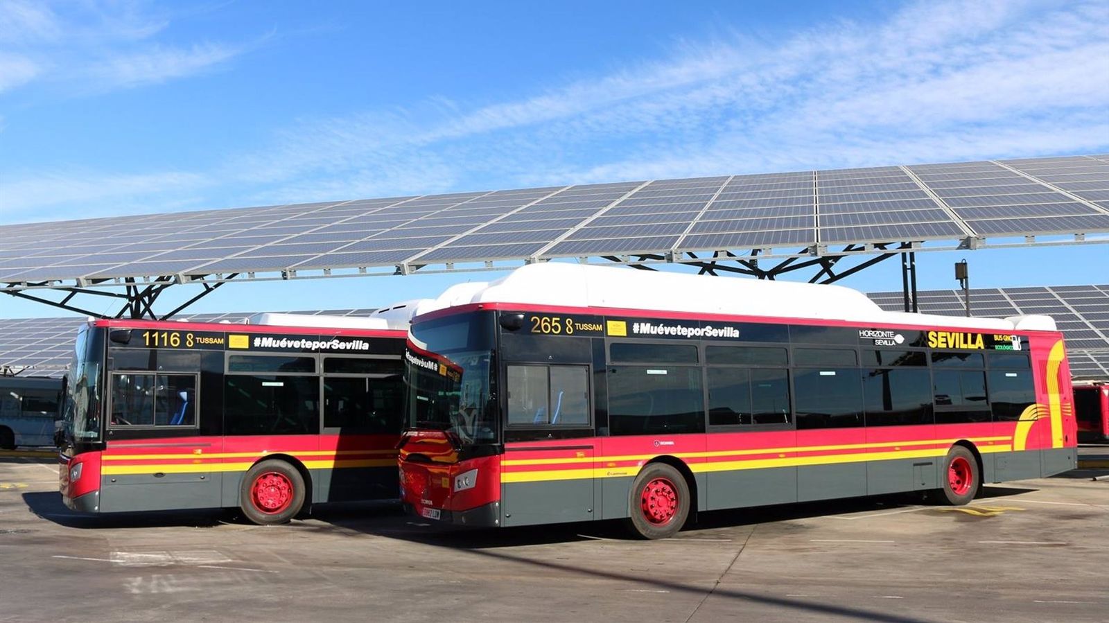 Dos autobuses de Tussam, en una imagen de archivo