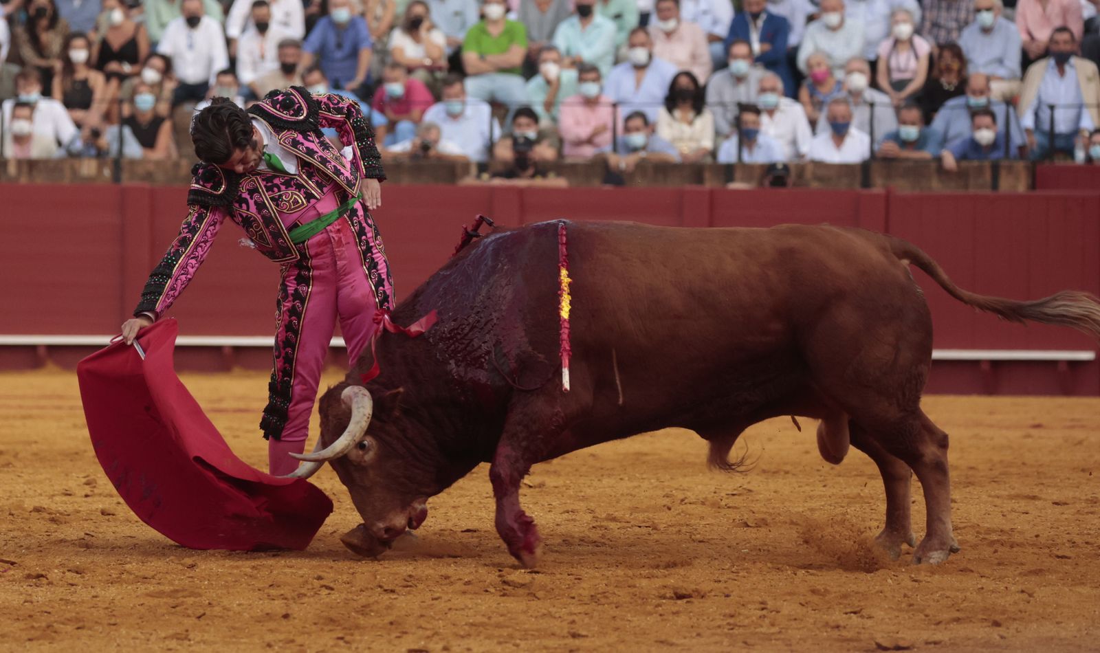 Las imágenes del triunfo de Morante en San Miguel