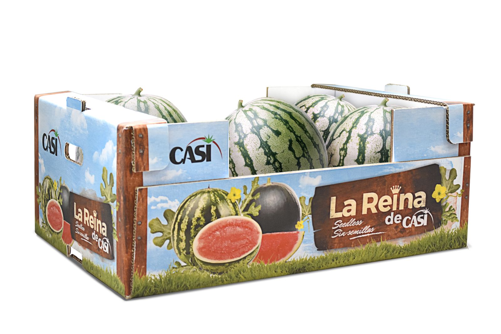 CASI inicia la campaña de sandía y melón consolidando su apuesta