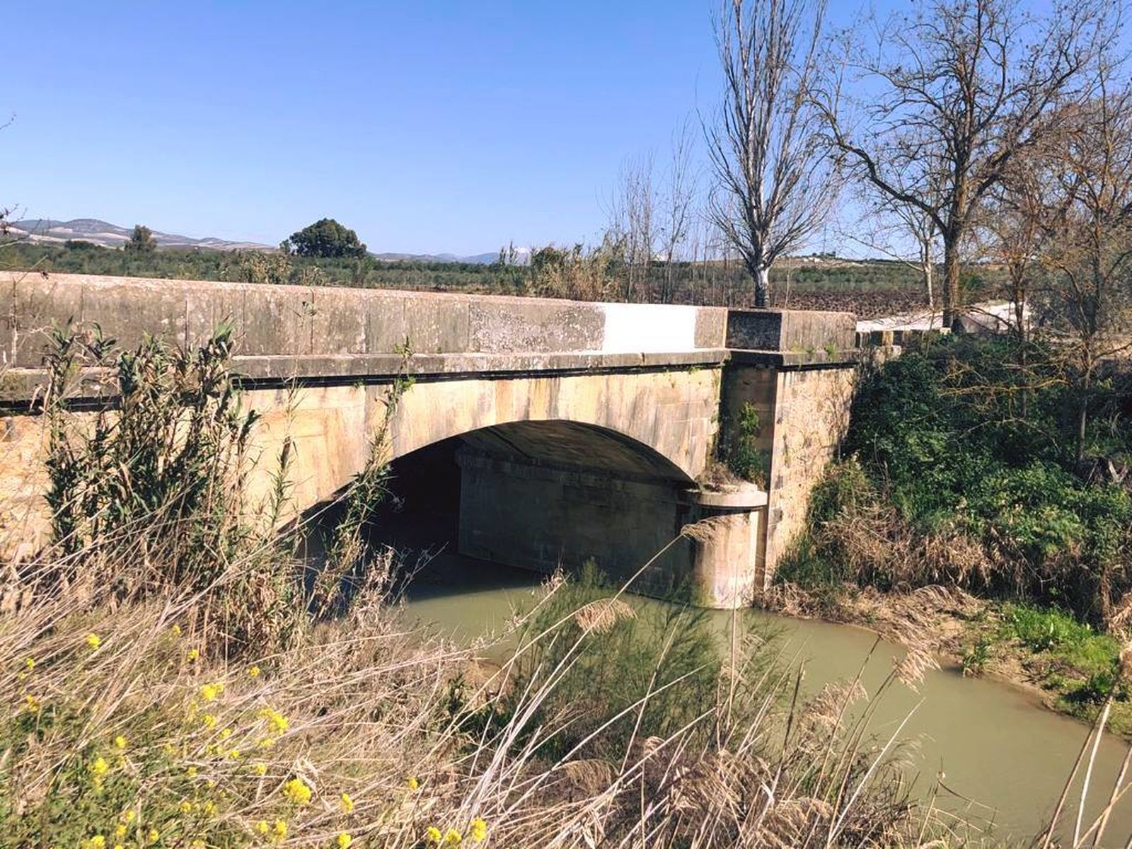 Puente de las Salinas en Aguilar de la Frontera.