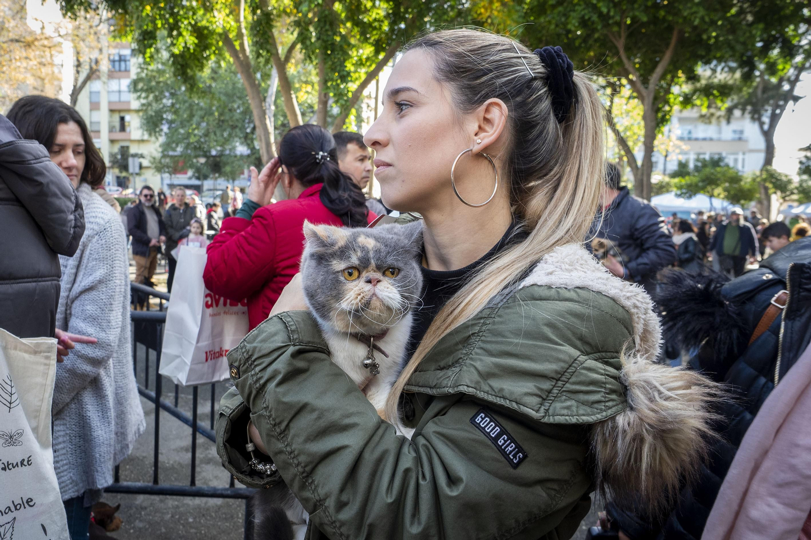 Las imágenes de la fiesta de San Antón en San Fernando