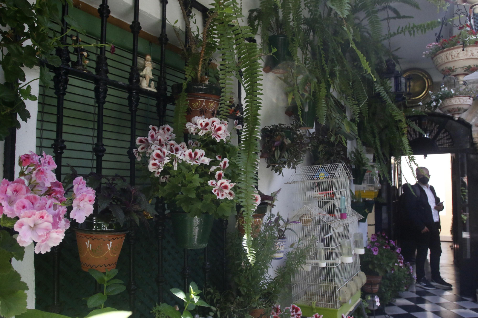 Ruta Judería - San Francisco de los Patios de Córdoba, en imágenes