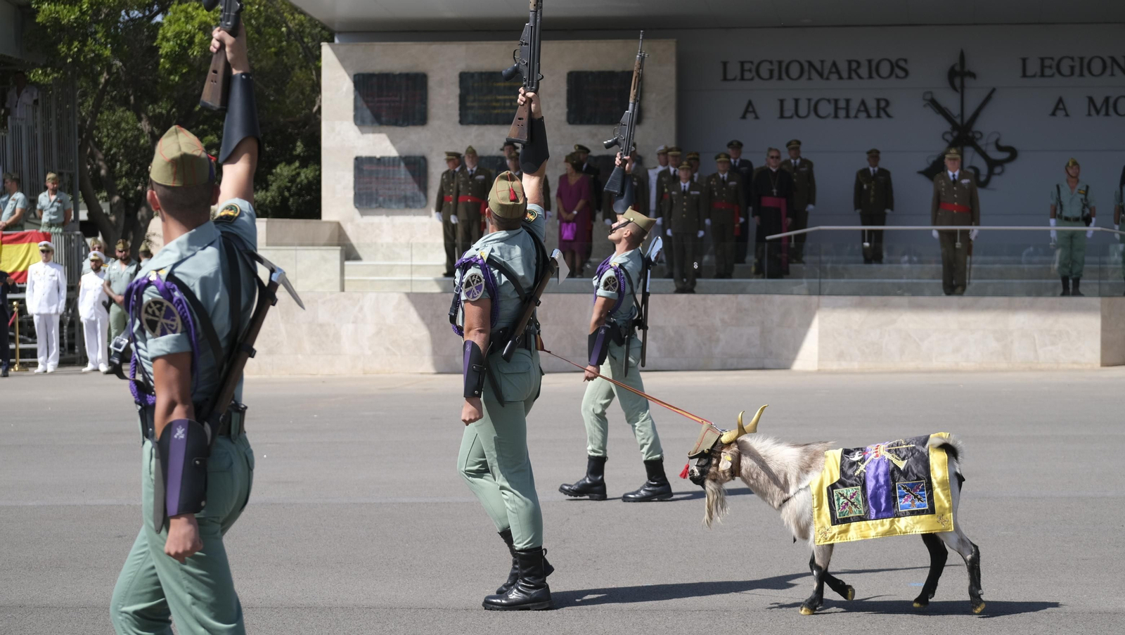 Imágenes del 102 aniversario de La Legión en Almería