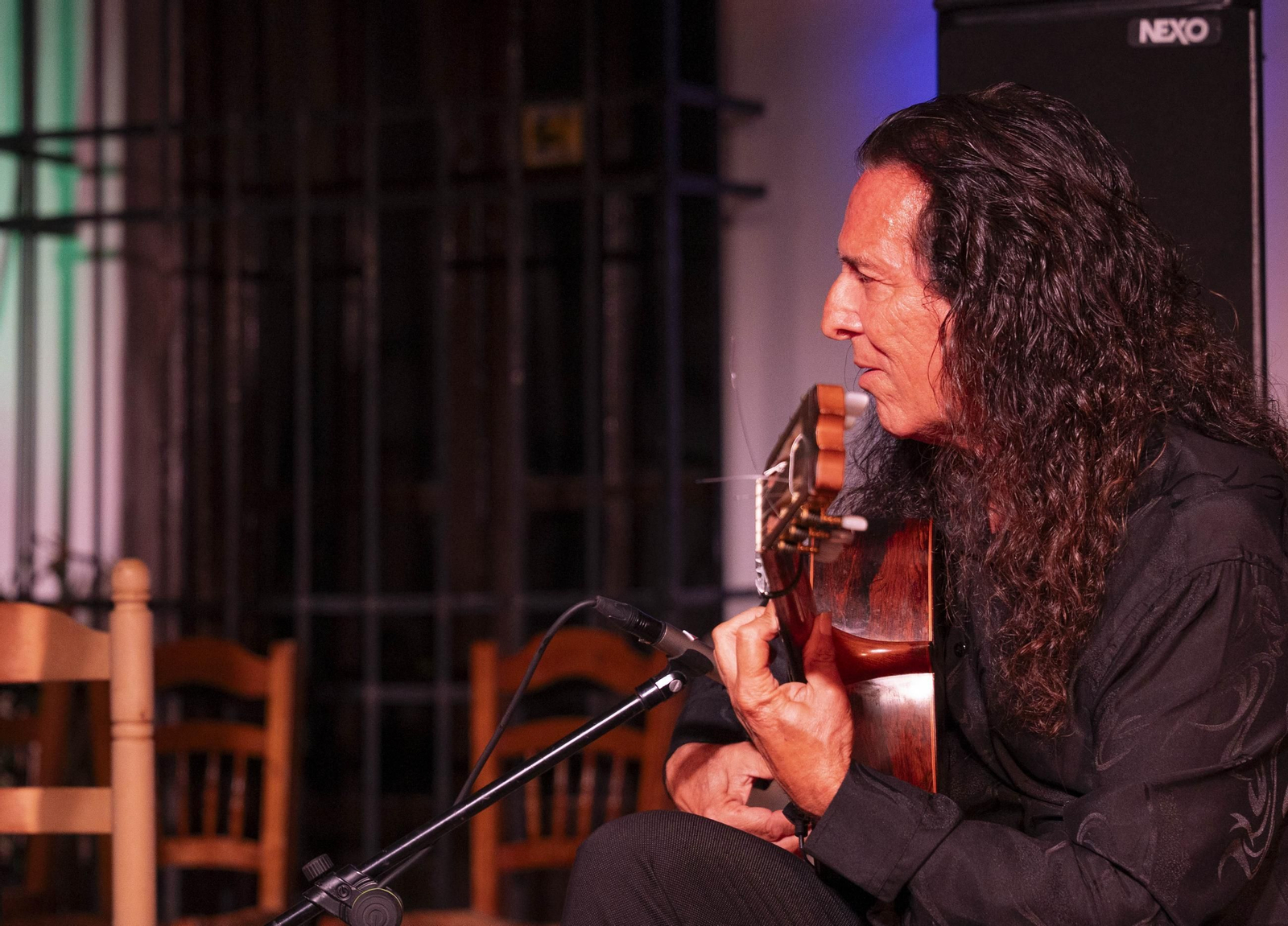 Las mejores imágenes del Festival de Flamenco en Fondón
